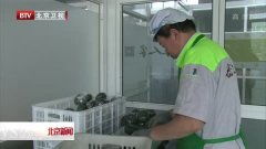 北京打造農(nóng)產(chǎn)品高效流通網(wǎng)絡(luò) 新建區(qū)域集散中心與“農(nóng)郵通”服務(wù)站